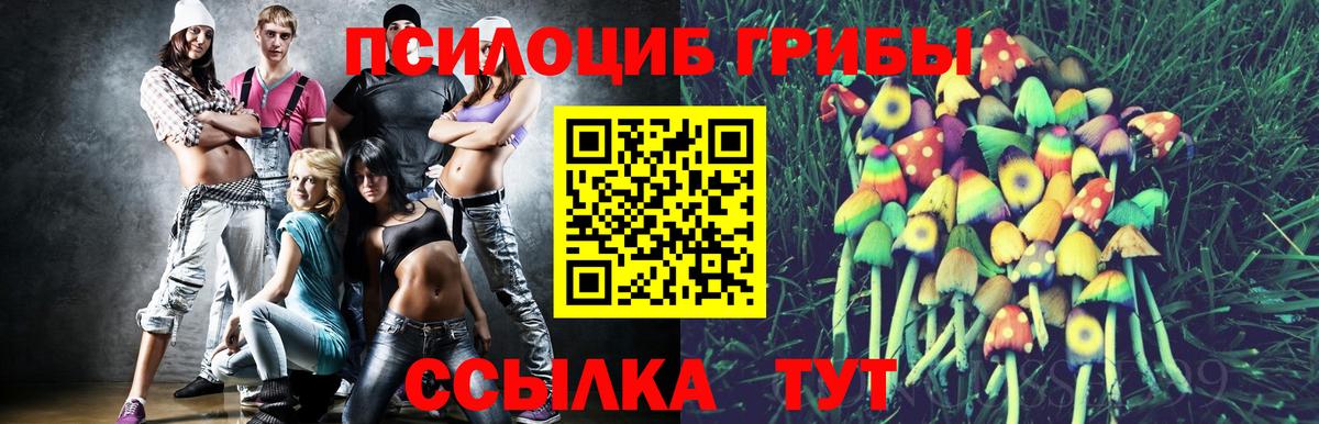 Галлюциногенные грибы мухоморы Печора